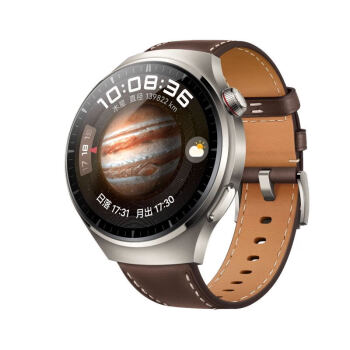 华为手表 WATCH 4 Pro 华为手表智能手表 48mm表盘 木星棕【全国速发】（腕围 140-210mm）