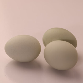 食特吉富硒乌鸡蛋 绿壳鸡蛋 散养土鸡蛋30枚净重1350g 源头直发 包邮