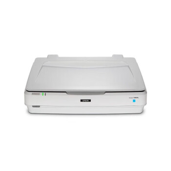 爱普生（EPSON）13000XL 扫描仪A3平板大幅面影像图纸照片印花根系底片素描透扫底片 [含官方透扫选件]