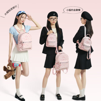 爱路喜（AILUXI）小众设计出游双肩包女生通勤少女迷你小背包书包6354粉色大版
