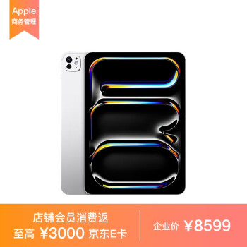 Apple iPad Pro 11 英寸 M4芯片 2024年新款平板电脑256GB WLAN版/MVV93CH/A 银色*企业专享