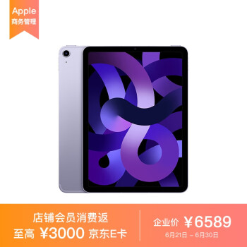 Apple iPad Air 10.9英寸平板电脑 2022年款（256G WLAN+Cellular版/M1芯片 MMEX3CH/A) 紫色*企业专享