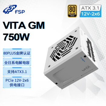 全汉（FSP）VITA GM 750W雪装版金牌全模组电源（ATX3.1/PCle 5.1 12V-2x6接口/105℃工业等级日系电容）