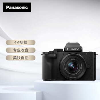 松下（Panasonic）G100K微单相机 数码相机 vlog相机 微单套机（12-32mm）4K视频 专业收音 美肤自拍 触摸屏