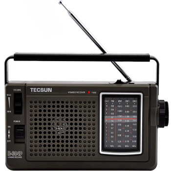 德生（Tecsun） R-304P便携指针式收音机老年人 全波段台式手提插电半导体广播收音 标配