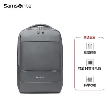 新秀丽（Samsonite）双肩包电脑包15.6英寸男女背包书包商务旅行包TX6 灰色