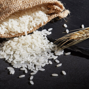 稻可道 五常大米 雪地黑土种植10kg 东北大米20斤