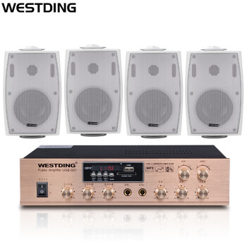威斯汀（WESTDING）B04组合白色音响 音箱公共广播系统背景音乐喇叭 挂壁式音响定压功放 白色