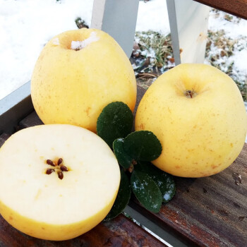 文果日本新品种维纳斯苹果新鲜水果5斤装新年礼物