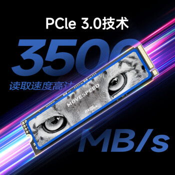移速（MOVE SPEED) 2TB SSD固态硬盘 M.2接口(NVMe协议) 美洲豹系列 -长江存储晶圆  国产TLC颗粒