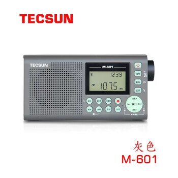 德生(Tecsun)M-601调频收音机录音机蓝牙音箱音乐播放器可插卡可充电液晶屏幕显示 灰色标配