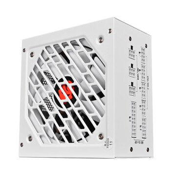 玩嘉 嘉年华G1-750W白色 台式机电脑电源80PLUS金牌认证/atx标准全模组白色750W