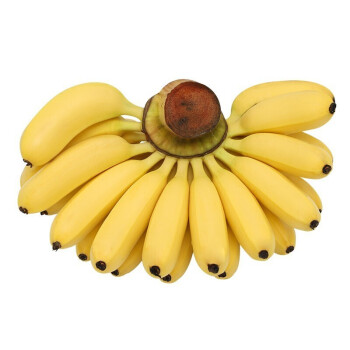广西小米蕉新鲜当季水果自然熟芭蕉水果带箱10斤精选装
