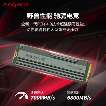 阿斯加特（Asgard）2TB SSD固态硬盘 M.2接口(NVMe协议) PCIe 4.0 独立缓存 读速高达7000MB/s