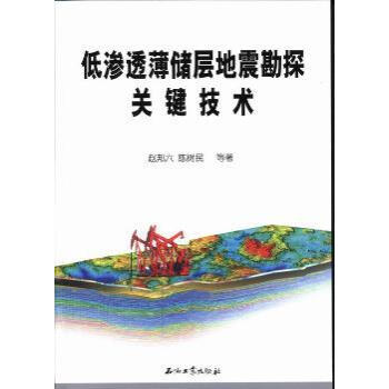 低渗透薄储层地震勘探关键技术赵邦六陈树民等著978