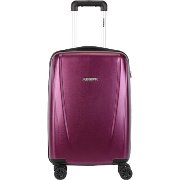 瑞世（SUISSEWIN） 万向轮拉杆箱 时尚休闲旅行箱 登机箱SN6700 20英寸 紫色