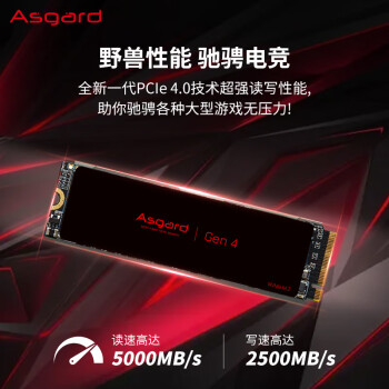 阿斯加特（Asgard）Lite 512GB SSD固态硬盘 M.2接口(NVMe协议) PCIe 4.0 读速高达5000MB/s