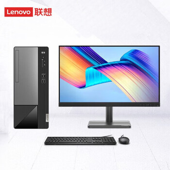 联想（Lenovo）扬天M460 办公台式机电脑整机定制款 i5-13400/16G/1T+256G双硬盘/集显/无光驱/W11 23.8英寸