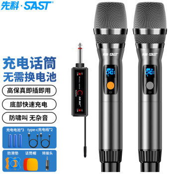 先科SAST OK-125 充电无线麦克风一拖二话筒U段家庭KTV唱歌演讲舞台K歌会议音箱音响功放金属可调频