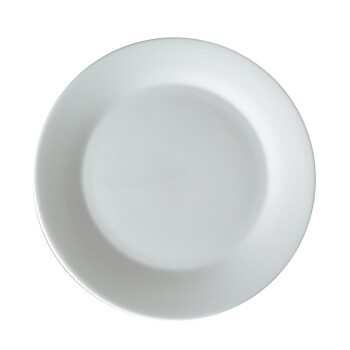 致年华 zhinianhua 陶瓷盘 西餐自助牛排盘 10寸平盘碟子 100个起购 DO 1