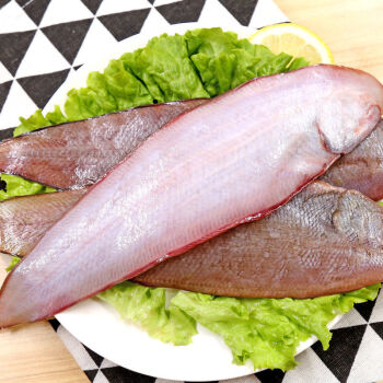展志曼智龙利鱼海捕舌头鱼踏板鱼鳎目鱼鱼柳子板鱼海鲜水产海鱼中大号