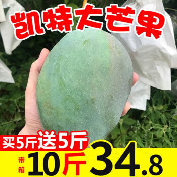 双苑  四川攀枝花凯特大芒果 10斤带箱装当季新鲜大青芒果水果 京东生鲜 单果400-1500g 8.6-9斤净果