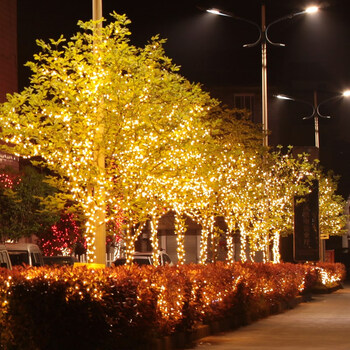 led星星灯户外防水彩灯闪灯串灯满天星花园庭院装饰阳台浪漫布置 10米