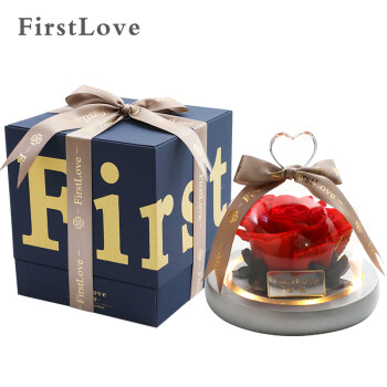 第一爱永生花红玫瑰花玻璃罩礼盒摆件七夕情人节礼物送女友