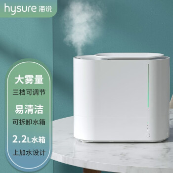 hysure海说 家用加湿器卧室上加水空气加湿器轻音大容量空气增湿器 白色 PRO-4