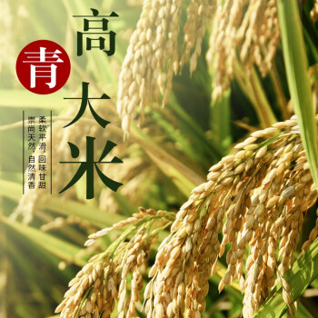 高青馆大米山东高青大米水稻正宗濯缨湖高青优质黄河胚芽米春米5kg