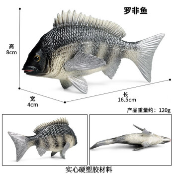 Oenux玩具鱼认物儿童假鱼仿真海洋淡水鱼模型动物三文食人金枪咸鱼水母 M-1280罗非鱼