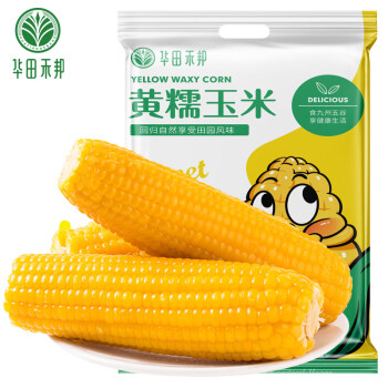 华田禾邦 非转基因 黄糯玉米棒 200g*6袋 1.2~1.4KG 东北新鲜真空甜黏玉米