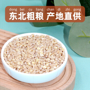 硃碌科有机小麦米1.5kg罐装 去皮小麦仁五谷杂粮粗粮东北特产