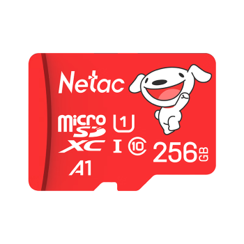 朗科（Netac）＆JOY联名款 256GB TF(MicroSD)存储卡 U3 C10 A1 4K P500系列 读速100MB/s 支持4K 不间断录制