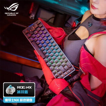 玩家国度ROG 魔导士NX 机械键盘 无线键盘 游戏键盘 68键小键盘 2.4G双模 NX冰川蓝轴 RGB背光 