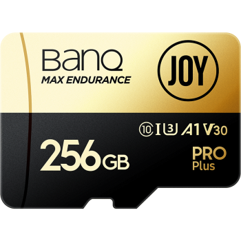 banq&JOY金卡 256GB TF（MicroSD）存储卡 U3 V30 A1 4K 手机平板游戏机行车记录仪&监控摄像头高速内存卡