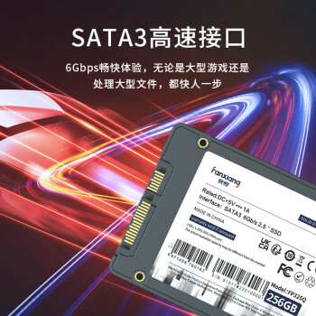 梵想（FANXIANG）2T SSD固态硬盘 SATA3.0接口 高速低功耗 台式机笔记本电脑升级核心稳定组件 FP325T