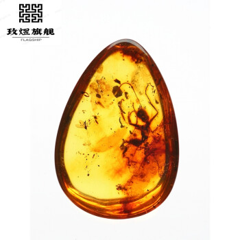 京选旗舰波罗的海琥珀虫珀灵珀吊坠挂坠原石带虫水滴项链标本玫煜一物