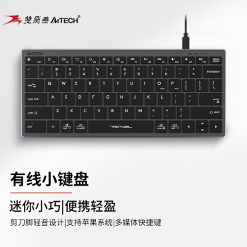 双飞燕（A4TECH）FX51 有线小键盘轻音笔记本电脑办公打字专用便携短款78键 飞时代剪刀脚键盘 铁灰