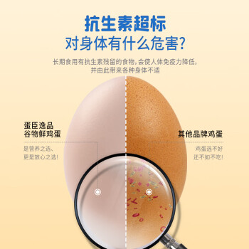 名凰名凰鲜鸡蛋拒绝沙门氏菌无农残抗生素鸡蛋谷物鲜鸡蛋30枚