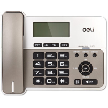 得力（deli）796电话机来电显示办公家用电话机 横式大屏 固定电话/座机(金属灰)(台)