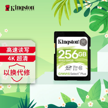 金士顿（Kingston）256GB SD存储卡 U3 V30 相机内存卡 sd卡大卡 支持4K 高速连拍 读速100MB/s 写速85MB/s