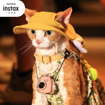 富士instax Pal拍照精灵 旅游记录美好生活拍照小相机 猫爪粉 官方标配 + Link2亚光白打印机