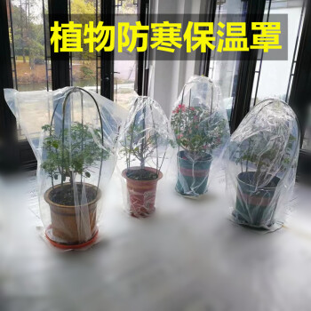 花卉绿植盆栽过冬防冻保温膜植物果树防寒罩套家用加厚透明塑料袋可狄