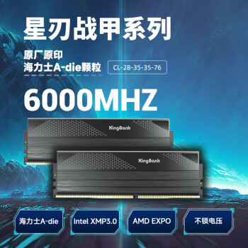 金百达（KINGBANK）32GB(16GBX2)套装 DDR5 6000 台式机内存条海力士A-die颗粒 星刃 C28