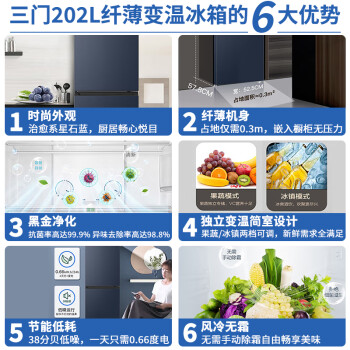 海尔（Haier）冰箱202升二门双门风冷无霜超薄小型电冰箱节能省电净味除菌两档变温家用租房宿舍公寓小冰箱