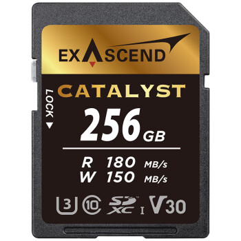 至誉科技（EXASCEND）256GB 专业摄影极速SD存储卡 U3 V30 Catalyst系列 UHS-I SD 至誉SD卡 写入150MB/s