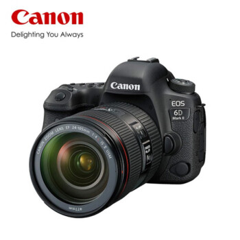 佳能（Canon）EOS 6D Mark II 6D2全画幅数码单反照相机(含256G卡+包+滤镜+原装电池+脚架) 24-105mm镜头套装