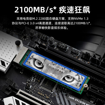 移速（MOVE SPEED) 256GB SSD固态硬盘 M.2接口(NVMe协议) 美洲豹系列竞速