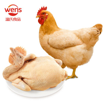 温氏供港矮脚黄鸡1kg 冷冻高品质整鸡 农家土鸡 慢养130天以上